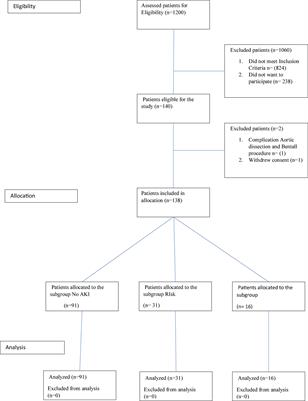 Morphogenetic dispositions for variability in acute kidney injury after cardiac surgery: Pilot study